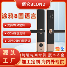 佰仑智能门锁